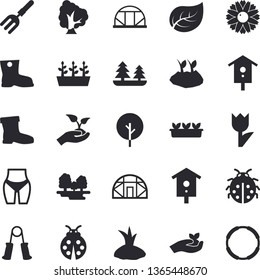 Solid vector icon set - nesting box flat vector, tree, flower, ladybird, pitchfork, seedlings, planting plants, gumboots, tulip, greenhouse, leaf, forest, waistline, carpal expander, hoop
