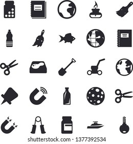 Solid vector icon set - paint brush flat vector, fish, shovel, lawn mower, pool, earth, magnet, glass bottles, notebook, moon, gas burner, vitamins, carpal expander, water, fector, yacht, scissors