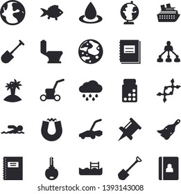 Solid vector icon set - paint brush flat vector, toilet, fish, shovel, lawn mower, rain, drop, earth, notebook, drawing pin, hierarchy, moon, globe, magnet, dna, vitamins, swimming, pool, key