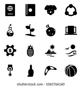 Solid vector icon set - passport vector, dog, community, round flask, sproute, moon flag, doors, money managemet, pineapple, pyramid, waves, laser, brush, boomerang, basketball