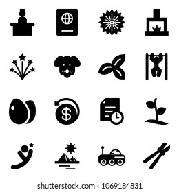 Solid vector icon set - recieptionist vector, passport, firework, fireplace, dog, three leafs, pull ups, eggs, money back, history, sproute, flying man, pyramid, moon rover, bolt cutter
