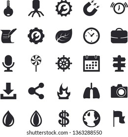 Solid vector icon set - repair flat vector, lollipop, bonfire, tree leaf, earth, magnet, dollar, virus, lungs, calendar, hostory roll, camera fector, pointer, share, download, steering wheel, clock