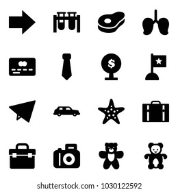 Solid vector icon set - right arrow vector, vial, meat, lungs, credit card, tie, money tree, flag, paper fly, limousine, starfish, suitcase, tool box, camera, bear toy