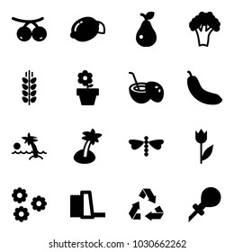 Solid vector icon set - rowanberry vector, lemon, pear, broccoli, spica, flower pot, coconut cocktail, banana, palm, dragonfly, tulip, water power plant, recycling, oiler