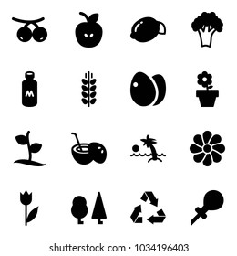 Solid vector icon set - rowanberry vector, apple, lemon, broccoli, milk, spica, eggs, flower pot, sproute, coconut cocktail, palm, tulip, forest, recycling, oiler