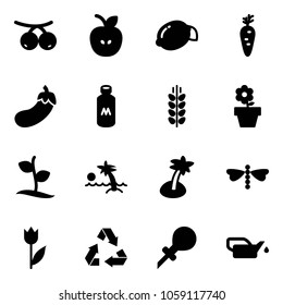 Solid vector icon set - rowanberry vector, apple, lemon, carrot, eggplant, milk, spica, flower pot, sproute, palm, dragonfly, tulip, recycling, oiler