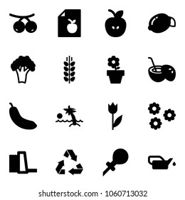 Solid vector icon set - rowanberry vector, diet list, apple, lemon, broccoli, spica, flower pot, coconut cocktail, banana, palm, tulip, water power plant, recycling, oiler