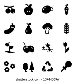 Solid vector icon set - rowanberry vector, apple, lemon, carrot, eggplant, pear, broccoli, spica, sproute, coconut cocktail, palm, tulip, flower, forest, recycling, oiler