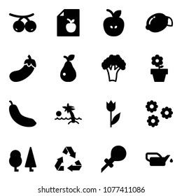 Solid vector icon set - rowanberry vector, diet list, apple, lemon, eggplant, pear, broccoli, flower pot, banana, palm, tulip, forest, recycling, oiler