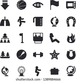 Solid vector icon set - saucepan flat vector, meashuring cup, fire, microwave, whiskey, horseshoe, forest, flag, sperm, lungs, hierarchy, globe, magnet, dumbbell, basketball, sports, gymnastics, eye