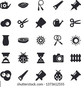 Solid vector icon set - saw flat vector, jugful, chop, scrambled eggs, ladybird, watering can, radiator, drawing pin, skipping rope, sun , camera, scissors, hourglass