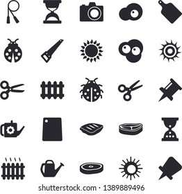 Solid vector icon set - saw flat vector, cutting board, gas, chop, scrambled eggs, ladybird, watering can, radiator, drawing pin, skipping rope, sun fector, camera, scissors, hourglass