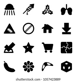 Solid vector icon set - shower vector, firework rocket, holly, lungs, multi lane traffic road sign, no limit, home, download, check, star, cart, puzzle, banana, flower, boomerang, cube toy