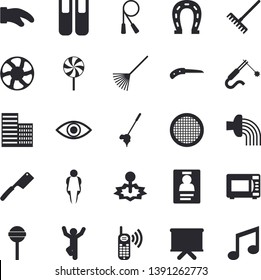 Solid vector icon set - skyscraper flat vector, potholder, knives, microwave, sieve, lollipop, horseshoe, knife, rake, hose irrigation, ventilation, laser, welding, phone call, flipchart, eye, badge