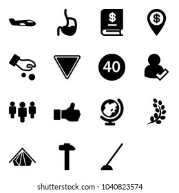 Solid vector icon set - small plane vector, stomach, annual report, dollar pin, investment, giving way road sign, minimal speed limit, user check, group, like, globe, golden branch, tent, hammer