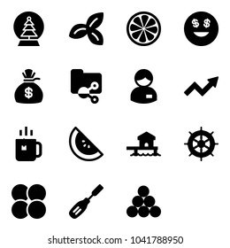 Solid vector icon set - snowball tree vector, three leafs, lemon slice, dollar smile, money bag, shared folder, manager, growth arrow, green tea, watermelone, bungalow, hand wheel, atom core, chisel