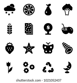 Solid vector icon set - snowfall vector, lemon slice, pear, broccoli, spica, breads, money tree, coconut cocktail, strawberry, starfish, butterfly, shell, tulip, flower, recycling, moon lamp