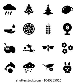 Solid vector icon set - storm vector, christmas tree, lemon, drop hand, slice, spica, money, coconut cocktail, palm, dragonfly, flower, dolphin, snow, wheelbarrow, toy rabbit