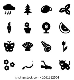 Solid vector icon set - storm vector, christmas tree, lemon, three leafs, carrot, flower pot, money, watermelone, butterfly, shell, tulip, sickle, lawn mower, toy cat