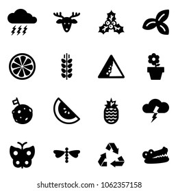 Solid vector icon set - storm vector, christmas deer, holly, three leafs, lemon slice, spica, landslide road sign, flower pot, moon flag, watermelone, pineapple, butterfly, dragonfly, recycling