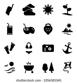 Solid vector icon set - suitcase vector, clouds, sun, sproute, drink, coconut cocktail, strawberry, pyramid, feet, swimsuit, photo, anchor, waves, grill, forest, kite