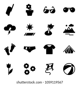 Solid vector icon set - suitcase vector, flower pot, sunglasses, storm, mat, palm, mountains, feet, swimsuit, t shirt, tent, tulip, kite, beach ball