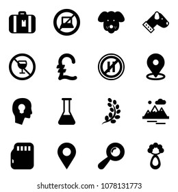 Solid vector icon set - suitcase vector, no computer sign, dog, alcohol, pound, parking even road, map pin, head bulb, flask, golden branch, mountains, micro flash card, navigation, beanbag