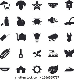 Solid vector icon set - temperature flat vector, watermelon, mushroom, cucumber, plum, nesting box, sprinkling machine, hose irrigation, sun, butterflies, lawn mower, rain, tree leaf, swimsuit, tent