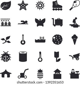 Solid vector icon set - temperature flat vector, canned food, cutlet, ice cream, pineapple, thermometer, ladybird, sprinkling machine, garden wheelbarrow, tulip, butterflies, lawn mower, tree leaf