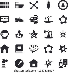 Solid vector icon set - tile flat vector, cookbook, honeycomb, ear, oil pumping, laser, lighthouse, target audience, computer diagnostics of health, molecules, sperm, molecule, spark, brain, house
