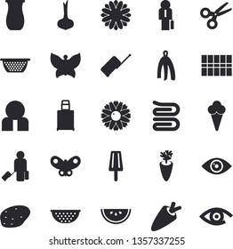 Solid vector icon set - tile flat vector, colander, towel, jugful, potato, onion, carrot, watermelon, ice cream, flower, butterflies, person, businessman, luggage fector, scissors, eye