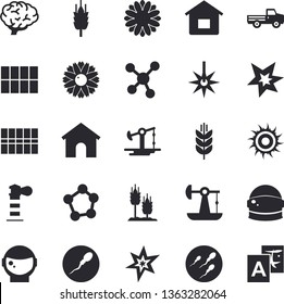 Solid vector icon set - tile flat vector, ear, pickup truck, flower, oil pumping, laser, lighthouse, molecules, sperm, spark, brain, astronaut helmet fector, spike, sun, house, translate
