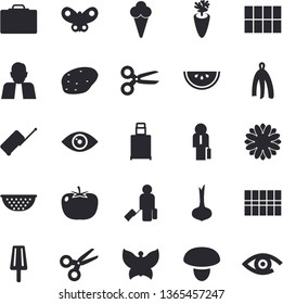 Solid vector icon set - tile flat vector, colander, towel, mushroom, potato, tomato, onion, watermelon, carrot, ice cream, flower, butterflies, person, businessman, luggage fector, suitcase, eye