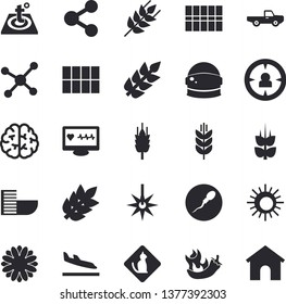 Solid vector icon set - tile flat vector, warm floor, ear, hot peppers, pickup truck, flower, laser, target audience, molecules, computer diagnostics of health, sperm, molecule, brain, spike, sun