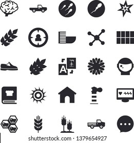 Solid vector icon set - tile flat vector, cookbook, honeycomb, ear, pickup truck, flower, lighthouse, target audience, computer diagnostics of health, sperm, molecule, spark, brain, sneakers, spike