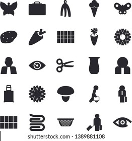 Solid vector icon set - tile flat vector, colander, towel, jugful, mushroom, potato, carrot, ice cream, flower, butterflies, person, businessman, luggage fector, suitcase, scissors, eye