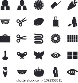 Solid vector icon set - tile flat vector, colander, towel, potato, tomato, onion, carrot, flower, butterflies, person, businessman, luggage fector, suitcase, scissors, eye