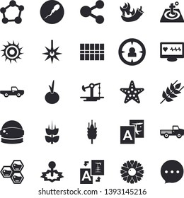 Solid vector icon set - tile flat vector, warm floor, ear, onion, hot peppers, honeycomb, pickup truck, flower, oil pumping, laser, target audience, molecules, computer diagnostics of health, sperm