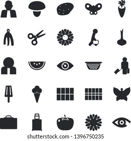 Solid vector icon set - tile flat vector, colander, towel, mushroom, potato, tomato, onion, watermelon, carrot, ice cream, flower, butterflies, person, businessman, luggage fector, suitcase, eye