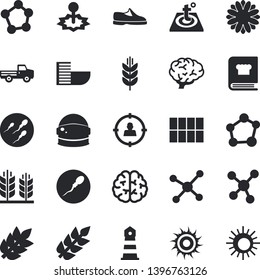 Solid vector icon set - tile flat vector, warm floor, cookbook, pickup truck, flower, laser, lighthouse, target audience, molecules, sperm, molecule, ear, brain, astronaut helmet fector, sneakers