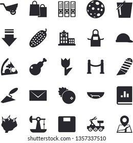 Solid vector icon set - trowel flat vector, hard hat, stationery knife, apron, pizza, chicken, cucumber, cranberry, bucketful, garden wheelbarrow, tulip, oil pumping, bags, book balance accounting