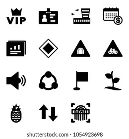 Solid vector icon set - vip vector, identity, airport building, calendar, statistics report, main road sign, tunnel, for moto, volume medium, social, flag, sproute, pineapple, up down arrows