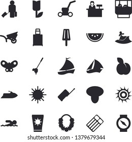 Solid vector icon set - watermelon flat vector, ice cream, whiskey, plum, mushroom, garden wheelbarrow, tulip, sun, butterflies, lawn mower, sailboat, swimming, fector, luggage, protection, surfing