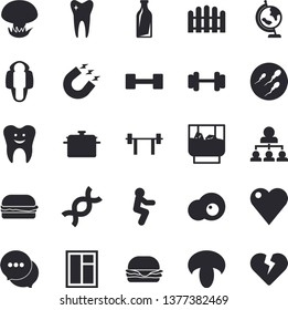 Solid vector icon set - window flat vector, saucepan, hamburger, mushroom, whiskey, scrambled eggs, fence, magnet, glass bottles, chat, heart, DNA, sperm, tooth, hierarchy, globe, dumbbell, barbell