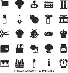 Solid vector icon set - window flat vector, concrete mixer, temperature, mushroom, chop, bell pepper, French fries, jam, cranberry, canape, ladybird, grain warehouse, laser, purse, flag, calendar