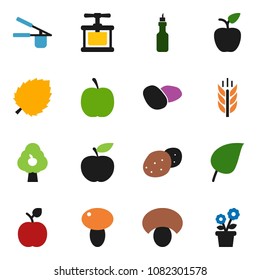 solid vector ixon set - cook press vector, mushroom, potato, oil, apple fruit, leaf, diet, cereals, tree, flower in pot