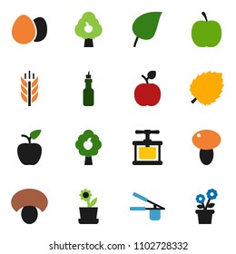 solid vector ixon set - cook press vector, egg, mushroom, oil, apple fruit, leaf, diet, cereals, tree, flower in pot