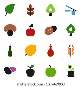 solid vector ixon set - oil vector, cook press, mushroom, potato, apple fruit, leaf, diet, cereals, tree, flower in pot