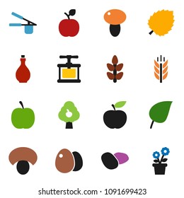 solid vector ixon set - oil vector, cook press, egg, mushroom, potato, apple fruit, leaf, diet, cereals, tree, flower in pot