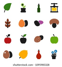 solid vector ixon set - oil vector, cook press, egg, mushroom, potato, apple fruit, leaf, diet, cereals, flower in pot